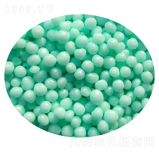 �w���۰�����Ĥ����-�ǝ�����