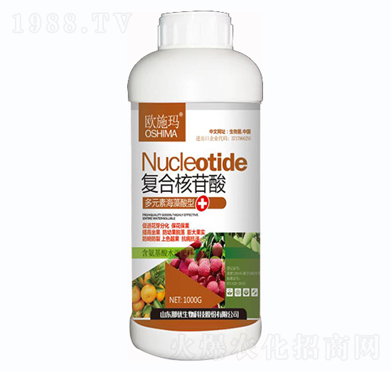 ��(f��)�Ϻ�����-һ������