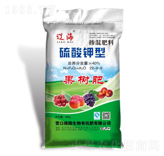 ����⛓������22-9-9-�G�@����