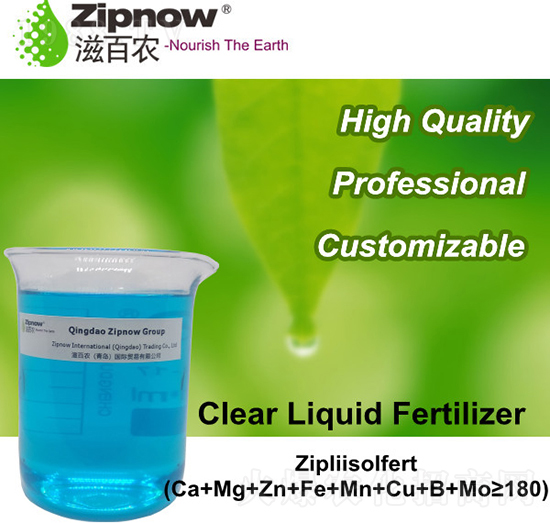 Zipliisofert-�̰��r