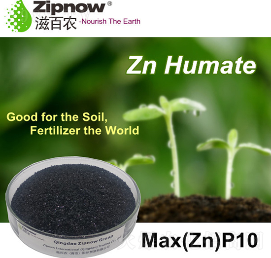 ��ֲ���\-�̰��r(n��ng)