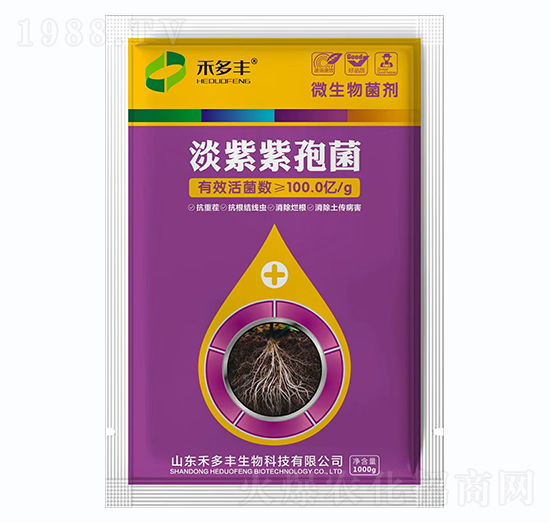 �������߾�-�̶��S