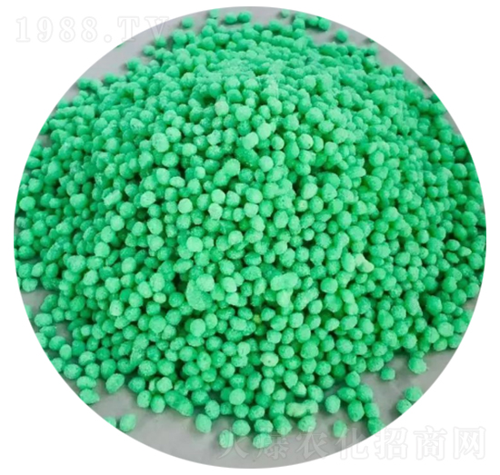 �V�w��-�ǈ�