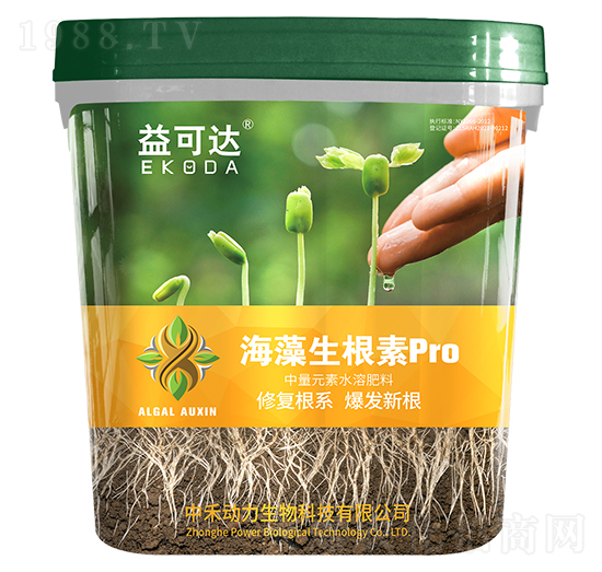 ����������pro-����_-�к̄���