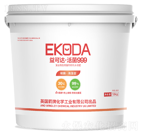 ����_�����999-�к̄���