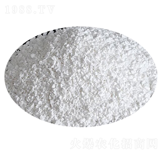 ������V��-�R�񻯹�