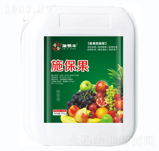 ���������-ʩ����-ʩ���S