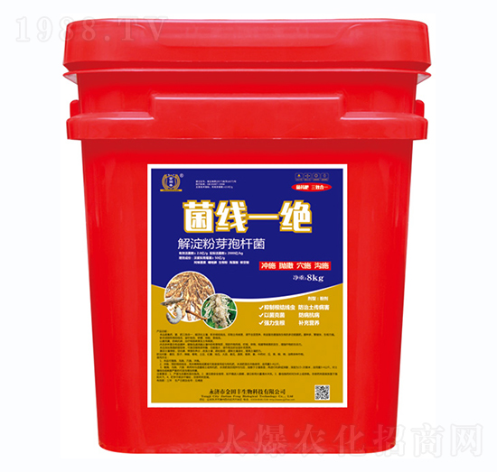 ����һ�^-�����S