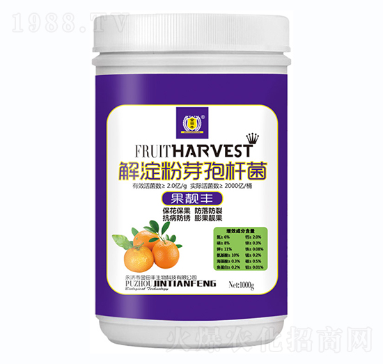 �����ѿ�ߗU�����n�S-���n�S-�����S