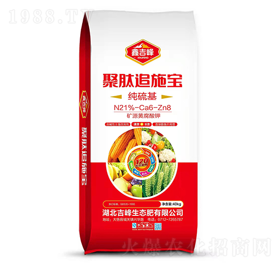 ���������׷ʩ��-�μ���-�������B(t��i)��