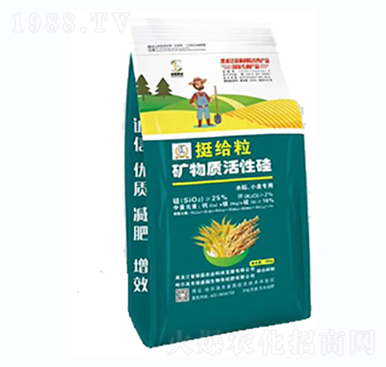 ͦ�o���V���|(zh��)���Թ�-�T���r(n��ng)�I(y��)