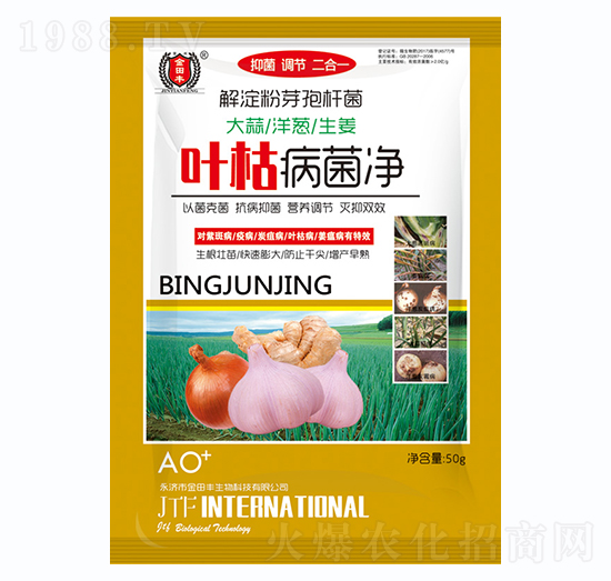 ���������[������-�~�ݲ�����-�����S