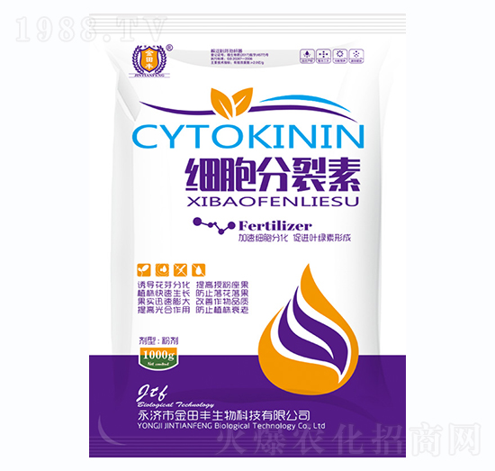 ��(x��)��������-�����S