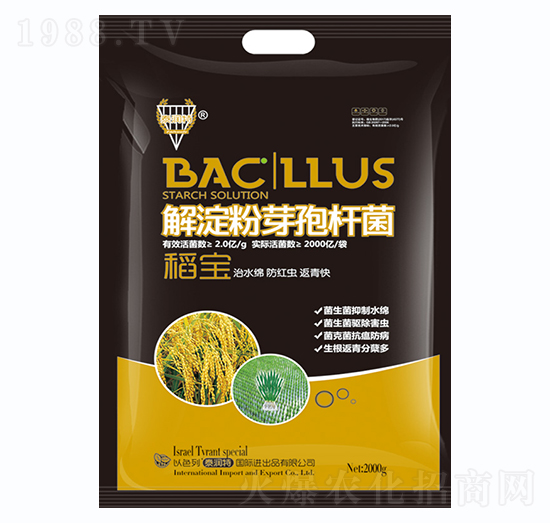 �����ѿ�ߗU��-����-�����S