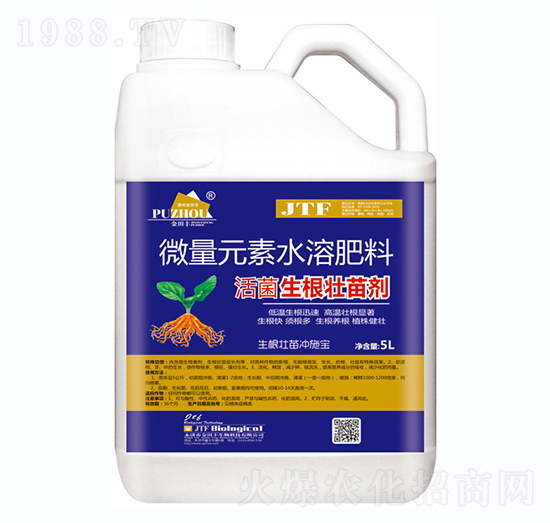 ����������焩-�����S