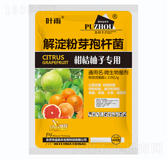 �����ѿ�ߗU��-�̽����ӌ���-�����S