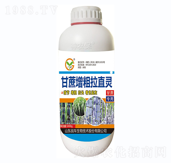 ����������ֱ�`-��(zh��n)܇