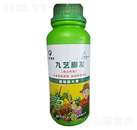 ��ˇ����-��ˇ�G��