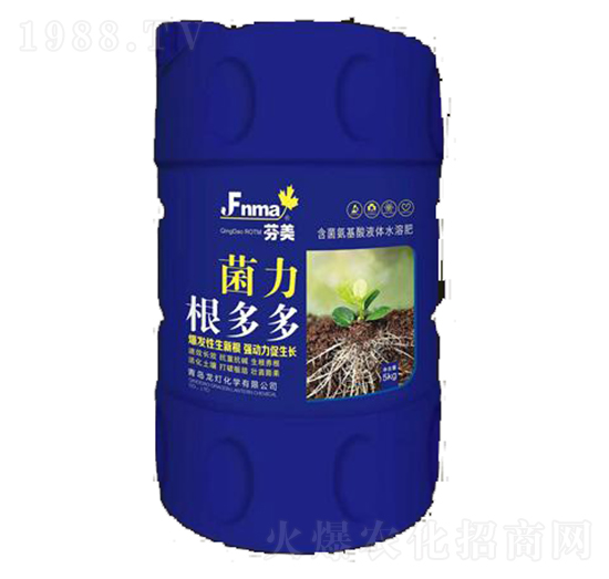 ���������-����