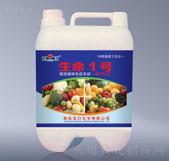 ����1̖-����-����