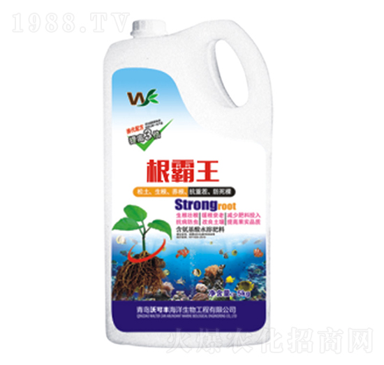 ������-�ֿ��S