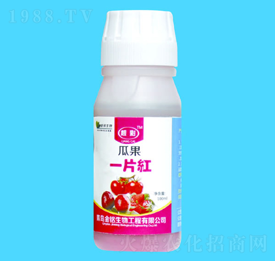 �Ϲ�һƬ�t-�n��-�������