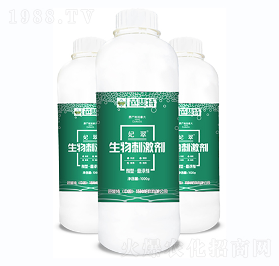 ����̼���-����-�����