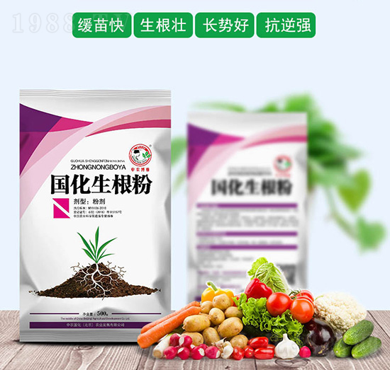 ��(gu��)��������-���r(n��ng)��(gu��)��