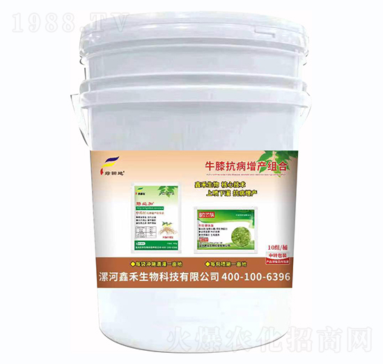 ţϥ�������a�M��-�G���-�κ�����