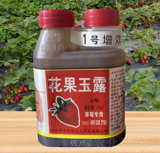 ��ݮ����-������¶-�𲮘�