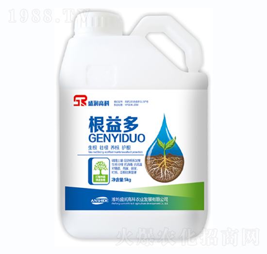 �����-ʢ���߿�