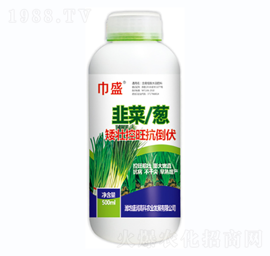 �²ˡ��[���ѿ���������-��ʢ-ʢ���߿�