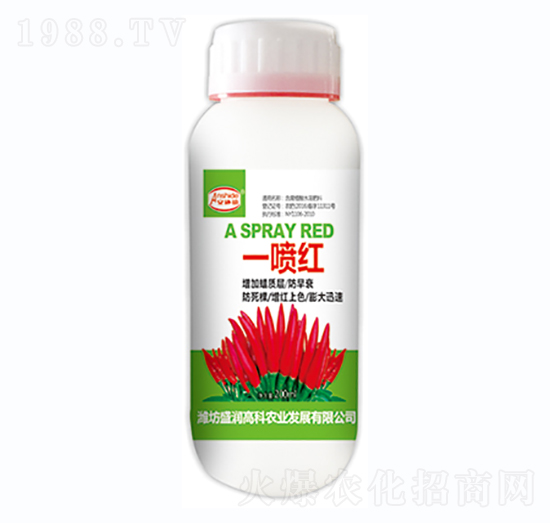 ����һ���t-ʢ���߿�