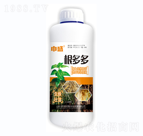 �����-��ʢ-ʢ��(r��n)�߿�