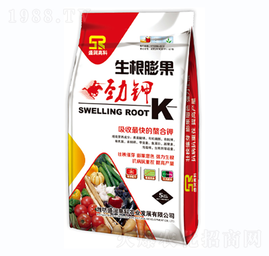 ������������-ʢ���߿�