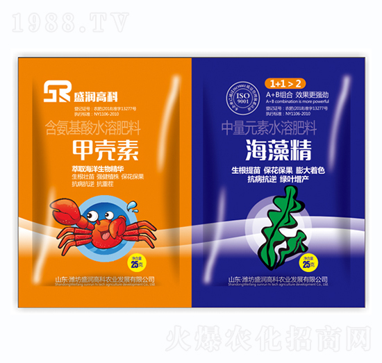 �ך���+���徫-ʢ��(r��n)�߿�