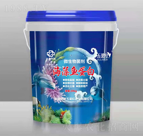 �����~����-�����t