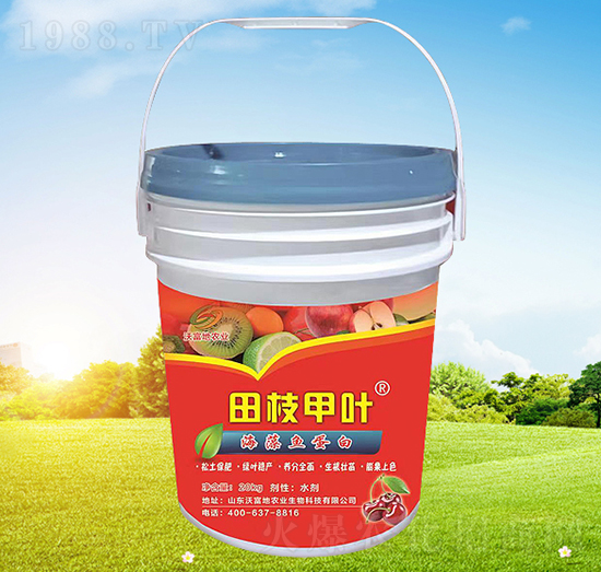 ��֦���~�����~(y��)����-�ָ���