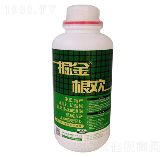 �����g-�̵�