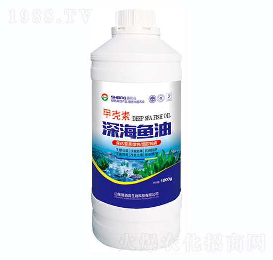 �ך�����~��-ʩ�۸�