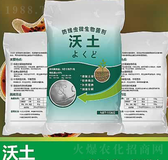 ����-����ʘI(y��)