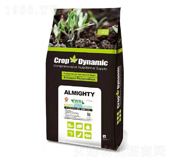 �S����⛹��ܷ�-����-�����f�S