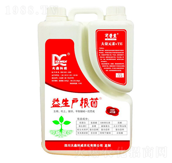 ����������-���ο���