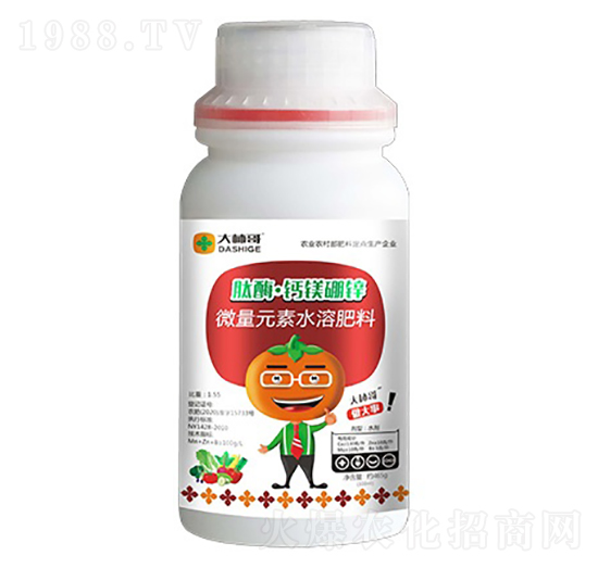 ��ø���}�V���\-������