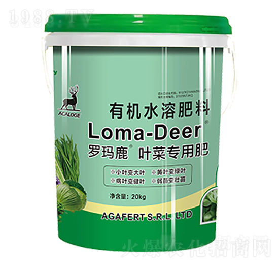 �_��¹�~�ˌ��÷�-���L