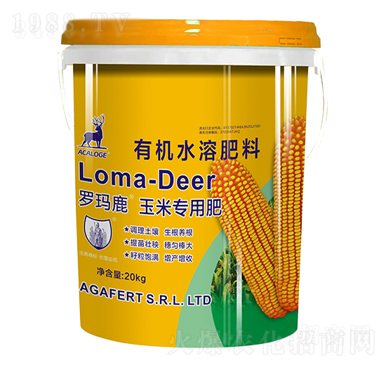 �_��¹���׌��÷�-���L