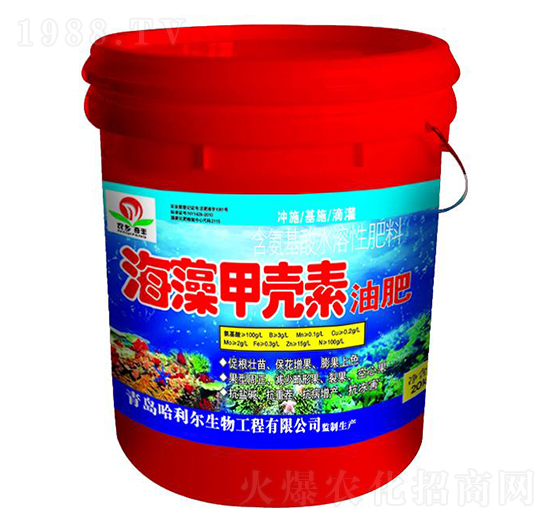 ����ך����ͷ�-�G��ɭ�r�I(y��)