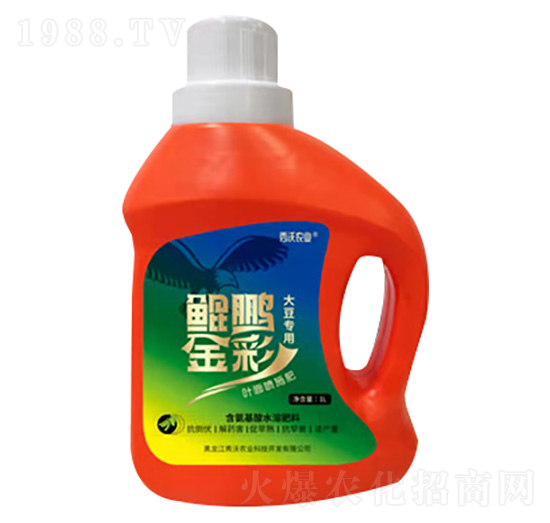 �H�i��ʴ󶹌�(zhu��n)�÷�-�����r(n��ng)�I(y��)