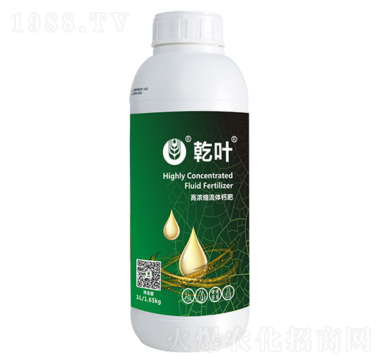 �ߝ�s���w�}��-Ǭ�~-�F(xi��n)���r�I(y��)