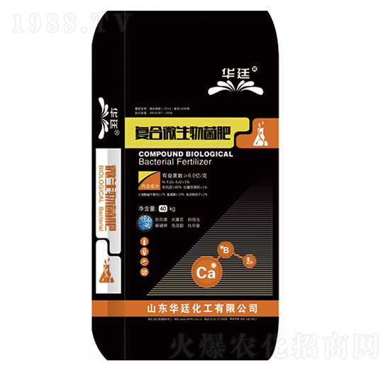 �ͺ�΢�������-�A͢����